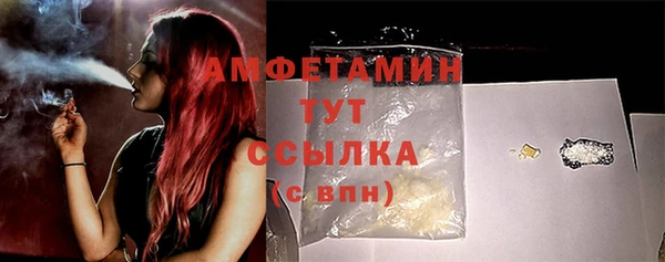 шишки Балабаново