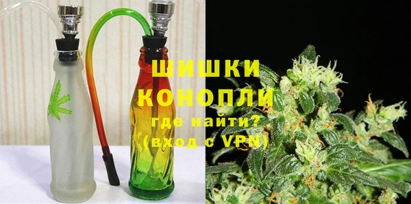гидра Гусиноозёрск